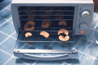 360°烘干，原汁原味即刻享用 金正家用食品水果烘干機全體驗